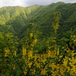 Veduta sulla Valle Berga (Arc. Aree protette Appennino piemontese)